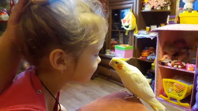 5493af747ea8f21a4bab061f1ac425d5