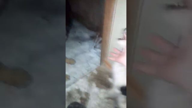 B450049e66c259e3c040a9a656895db4