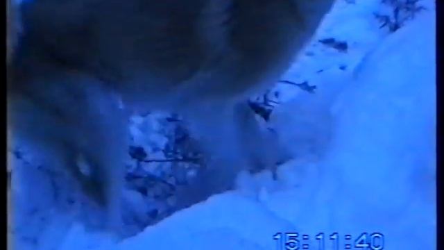 Давно-минувшие ПРОМЫСЛОВЫЕ БУДНИ.