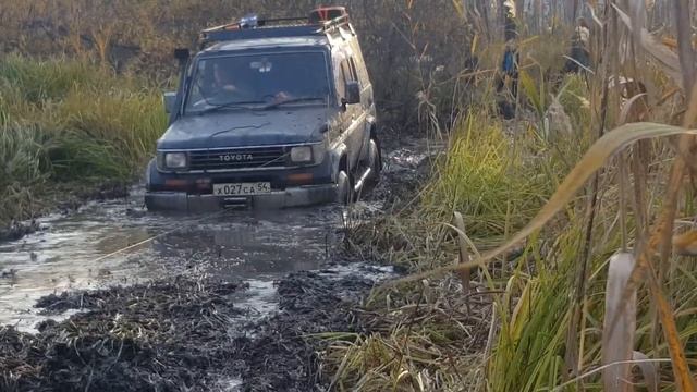 Пихтовка-Кокошино 2019, МВД 4-6 октября