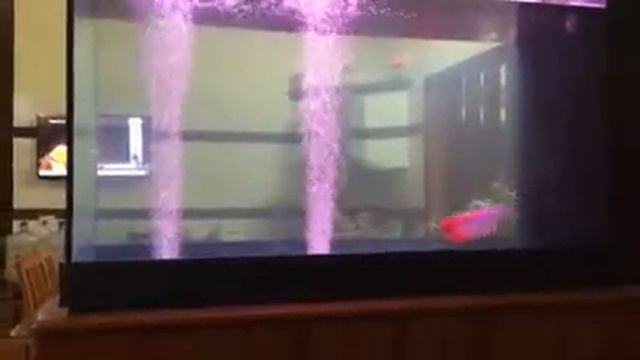 50ae01bd130c8109663014b54b87c0ad