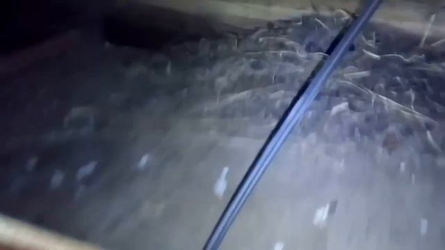 Дом мертвых птиц  Нааахара