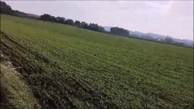 Дикие пожирают друг друга;культурные обманывают Долгая дорога на Салли Соглио №2