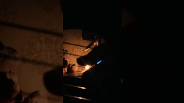 Макс Корж - Мотылек (fingerstyle Cover)