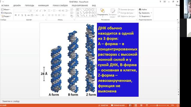 Биология, 9 класс. Основы генетики (ч.1)