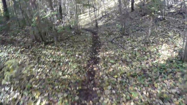 Осенний кабан 2017; 2й день; один круг;
