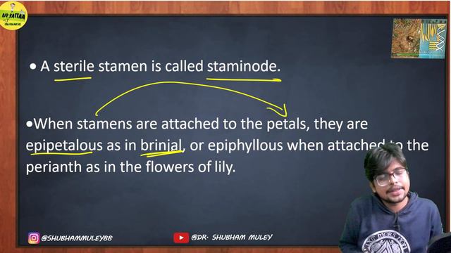 MORPHOLOGY OF FLOWERING PLANTS | |RAPID REVISION NCERT BIOLOGY| IMPORTANT LINES FROM NCERT