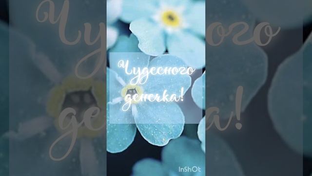 Доброе утро! 23 февраля 2024 пятница