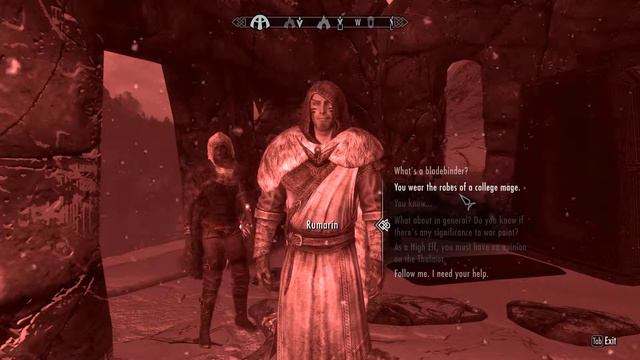 Skyrim: Interesting NPCs - Rumarin Is A Male Version Of Sansa.