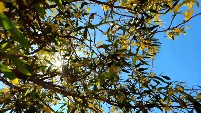 15 мая - Самый сложный день. Один шаг может стать роковым | Лунный Календарь