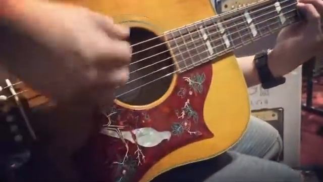 Gibson Dove Modern Classic 2008 Amber Natural With Red Flame