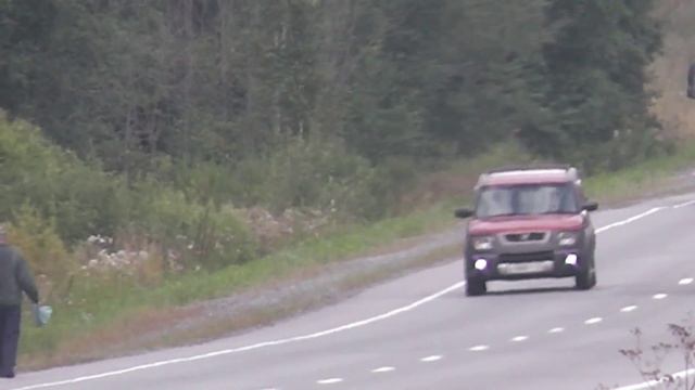 Пироги с гречкой и грибами