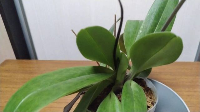 6f625ccd42ef20e08deed0a98661585e