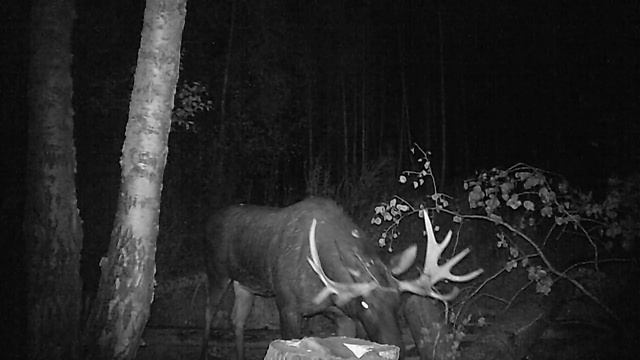 Aac35464a108ecbd218903231f505d25