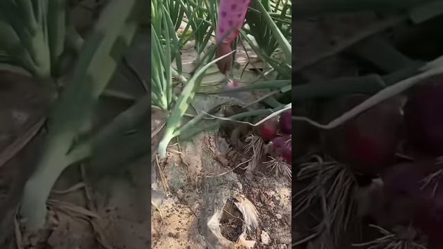 9ef525f84ad860a84d5699ff2aad6fcd