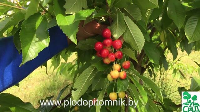 Ffbd92a299b8ad94ccf6b13d6c2abb29