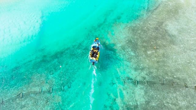 Unicorn Heads - Acoustic Circles