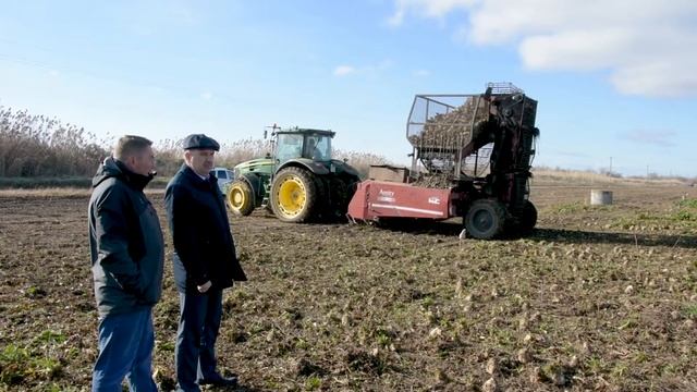 Уборка сахарной свёклы в ООО 