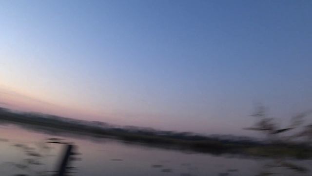 Утренняя охота на уток