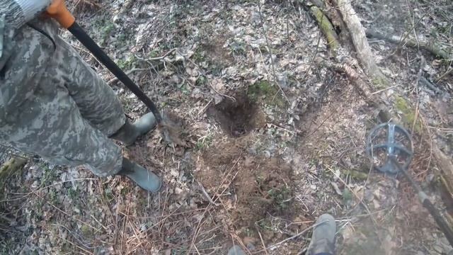 Копаем в лесном овраге