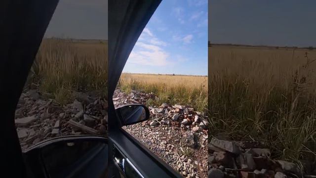 Едем на любимую ДАЧУ #ml350 #w164