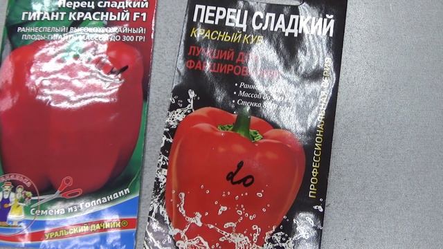 Сладкий перец,новинки в отделе.