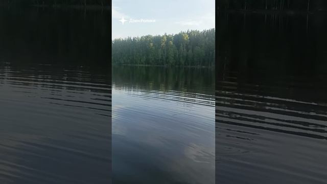 Окунь 990 гр.