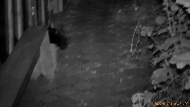 Приобрели ПНВ для страйкбола