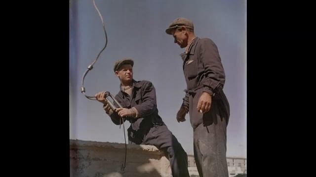Люди труда / People Of Labour:  1950s