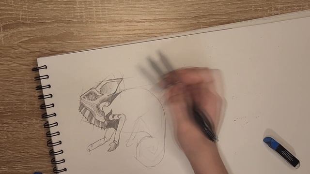 HOW TO DRAW HAMILION!!! КАК НАРИСОВАТЬ ХАМИЛИОНА!!!