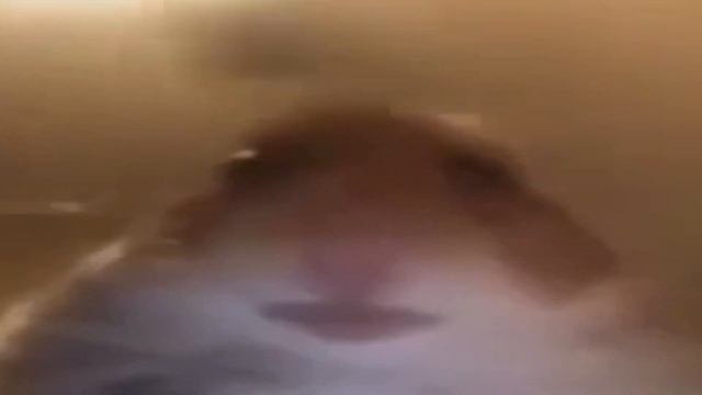 я нюхаю бебру эвридей