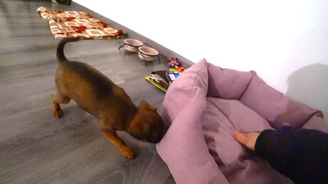 Я СТАЛ ПАПОЙ