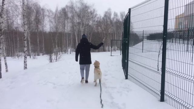 9a08085c25b837a63f4bb9a543234c44