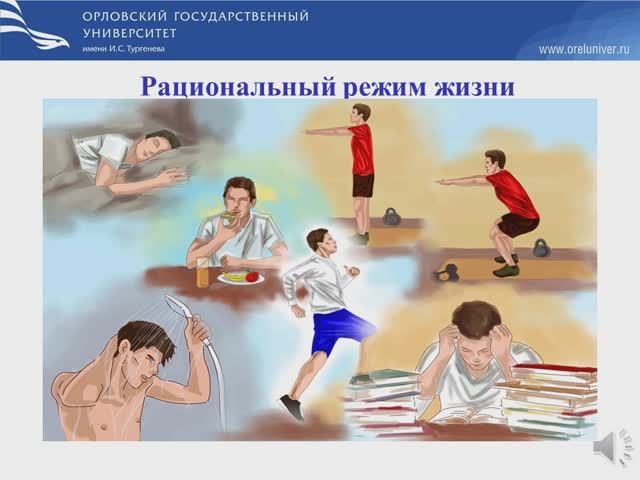 рациональный режим жизни