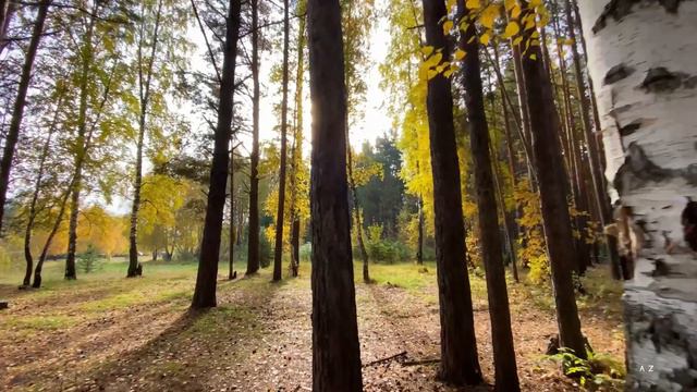 Тропами по деревне Окунево релакс 4к