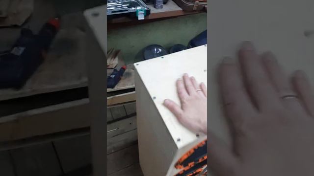 Тыл на динамиках DL audio Gryphon Pro 250 часть 1