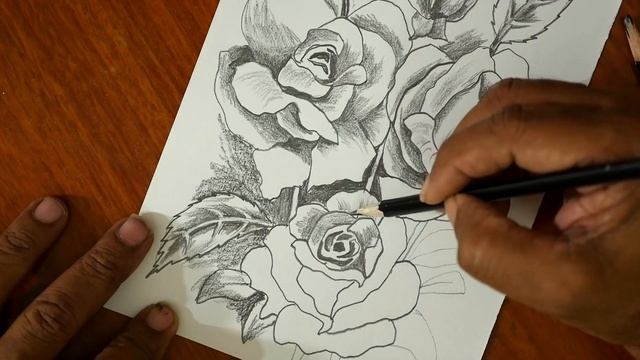 Easy To Draw Roses- Step By Step-DIY Art-Pencil Sketch/Tutorials For Beginners-S.Nagender