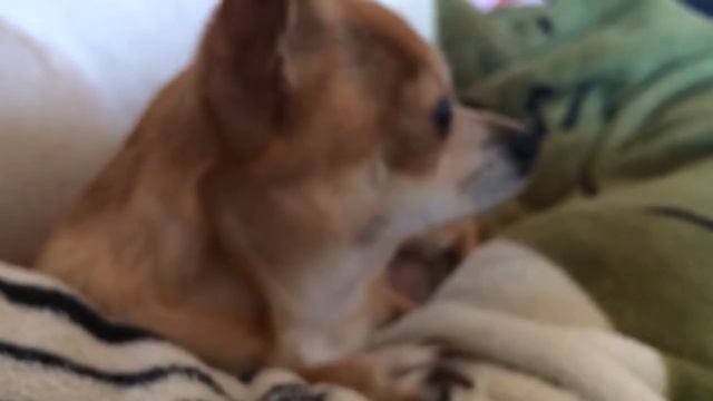 Как Сделать с Вдохновением