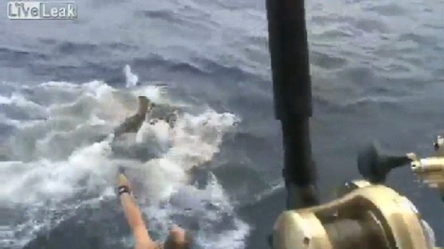 D73794faca27479d7145a932ee4d493b