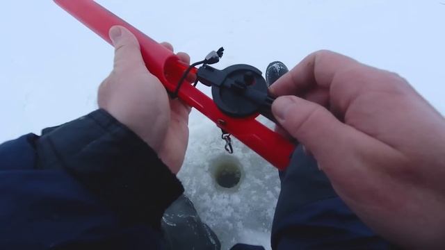 УДОЧКА ПОПОЛАМ! Первый раз поймал его на жерлицу! Зимняя рыбалка!