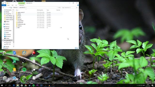 Guide To Installing The Elder Scrolls I: Arena Using DOSBox