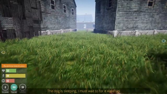 Стрим по Streamer Life Simulator