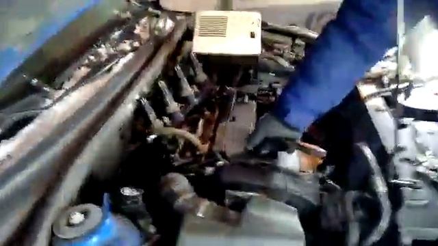 Автолюбители искатели приключений