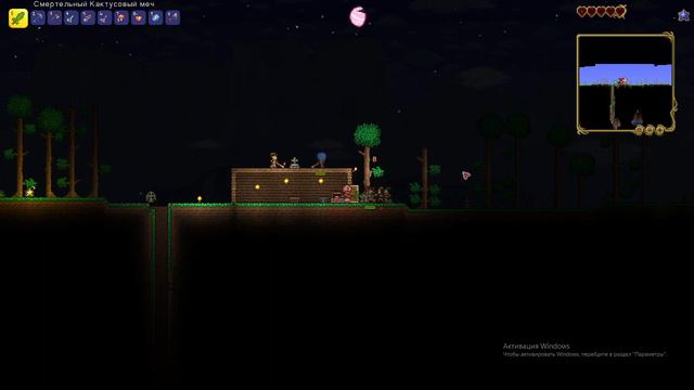 террария эксперт #4