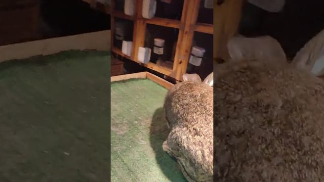 18 января 2022 г.