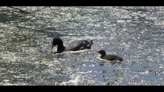 Маленькая зарисовка прогулки в город.