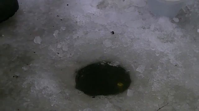 Клевое место рыбалка финалисты.MP4