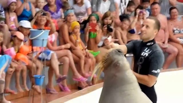 Турция Аквапарк ТРОЯ+Дельфинарий1