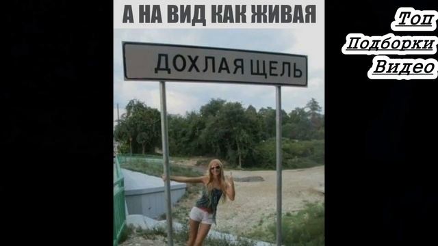 Калян86 - щелку видел! #Shorst