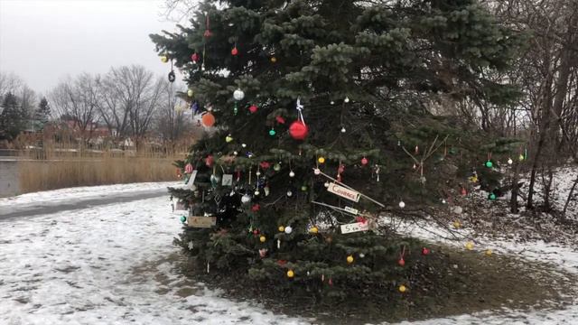 O Holy Night (violin Cover)